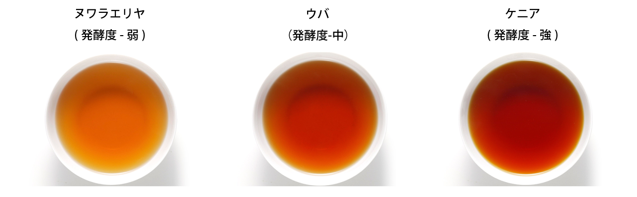 紅茶の発酵度による水色の違い
