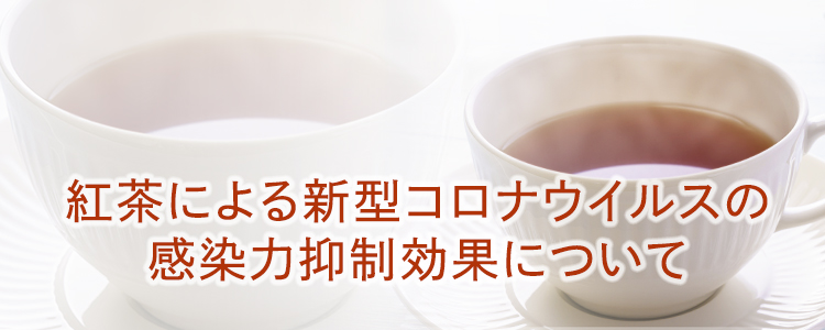 紅茶による新型コロナウイルスの感染力抑制効果について