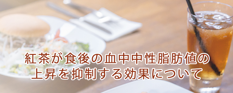 紅茶が食後の血中中性脂肪値の上昇を抑制する効果について