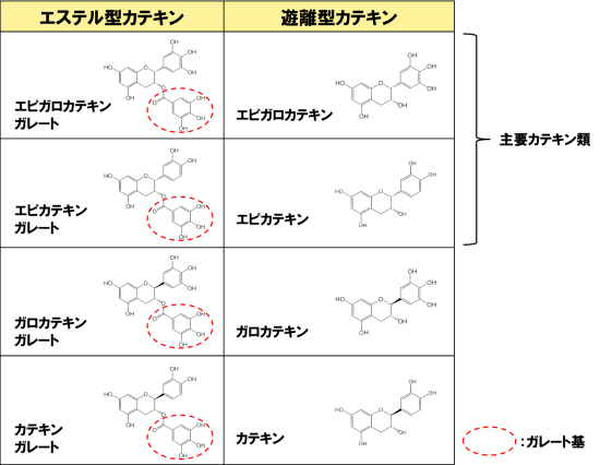 図2．お茶に含まれるカテキン類