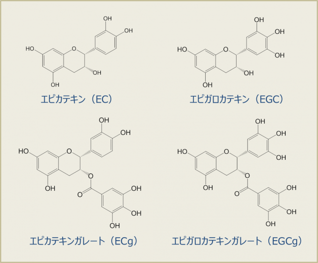 図２．茶に含まれる主なカテキン類