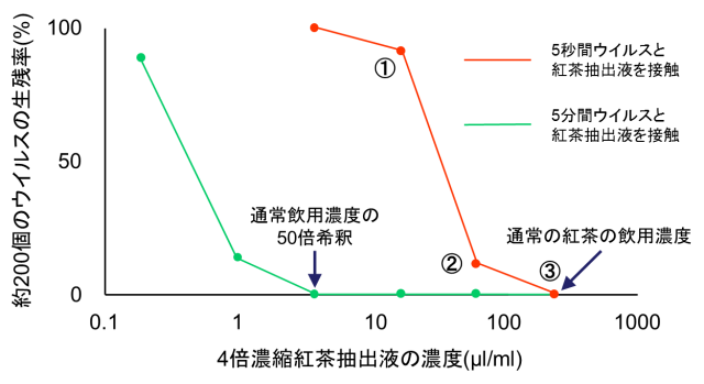 図3. 紅茶のインフルエンザウイルス不活化能
