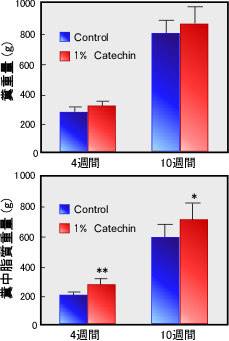 図１．カテキンの脂質排出促進作用